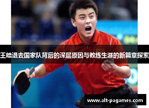 王皓退去国家队背后的深层原因与教练生涯的新篇章探索