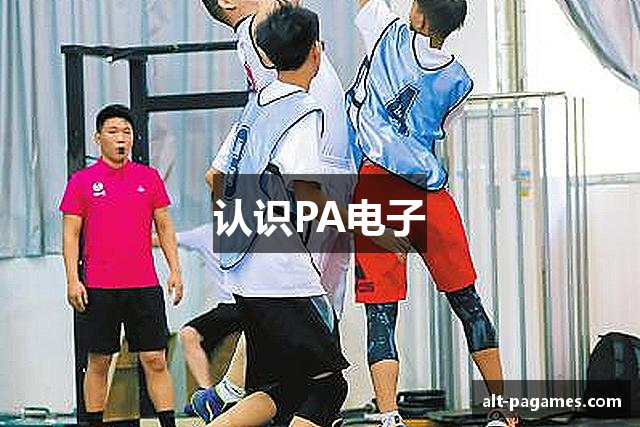 认识PA电子